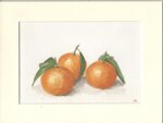 clementine-di-elisabetta-rosati-acquerello-cm-24-x-18
