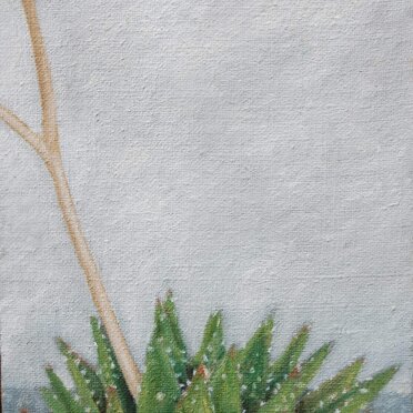 Aloe tempera grassa su tela cm 32x 49