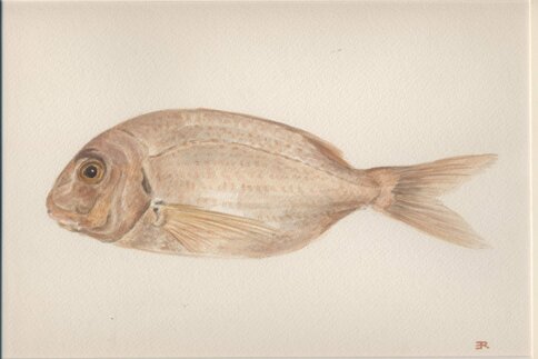 a9bd5fab-9976-45f3-a9e2-afb542efb969 a9bd5fab-9976-45f3-a9e2-afb542efb969