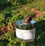 crema-viso-antiage-bava-di-lumaca