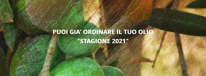 8bd282d3-78b0-4d4f-a159-8b90538bce52