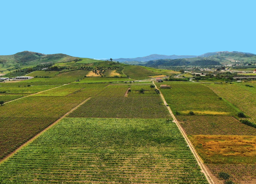 6c1e27b0-793f-45c5-a5e4-fac2fc20c467 6c1e27b0-793f-45c5-a5e4-fac2fc20c467