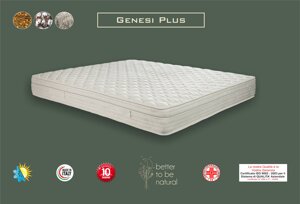 genesi-plus