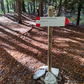 Freccia HPL montata su palo - CAI Fivizzano