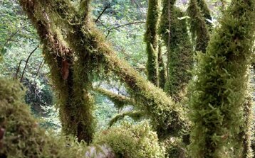 0acfcd28-0885-4e4c-9892-033f1c36053d