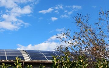 245cb156-7bfa-478b-972b-995265d2047f