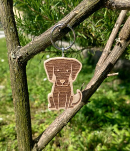 bfcdd10b-b3c9-47ef-b09c-3bdec9f33b47