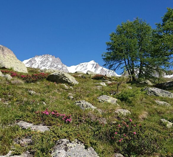 c9aa3e64-cac2-45c8-9cce-6bde4e3aa711