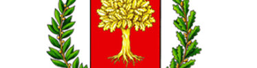 Partnership Istituzionali