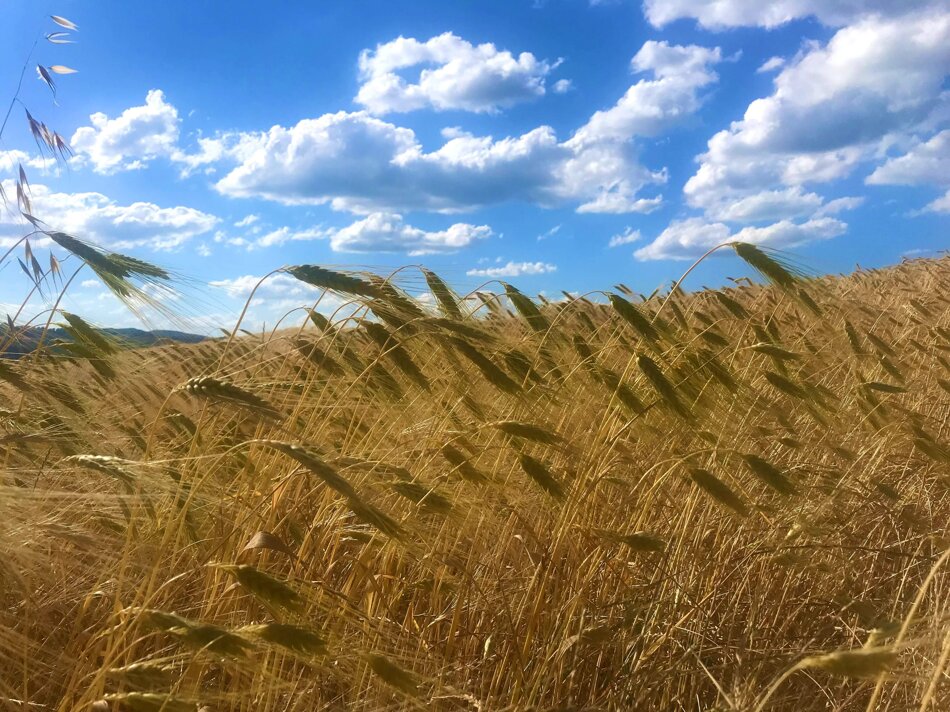 3acec892-3109-403e-bb4e-94f9865dabe9 3acec892-3109-403e-bb4e-94f9865dabe9