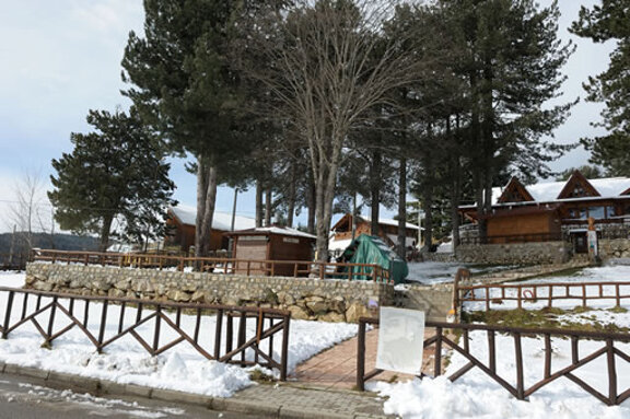 ee10d67e-95f8-4e9b-a2ff-15b9624613ef