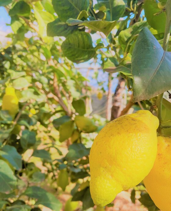 0233792b-23a4-420f-b186-c3b3df227431