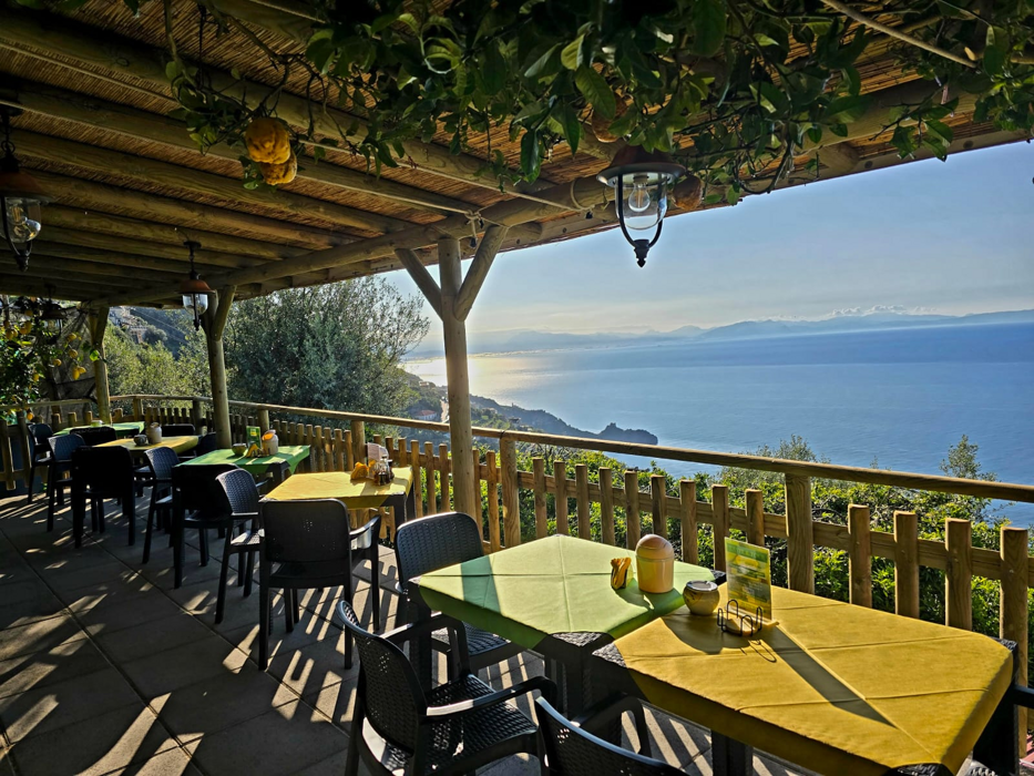 3cbbf5e0-93ca-41f9-bab5-1216752c21fa 3cbbf5e0-93ca-41f9-bab5-1216752c21fa