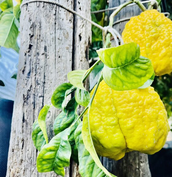 3f0e0013-3192-4cdd-bb80-775adcdc262b