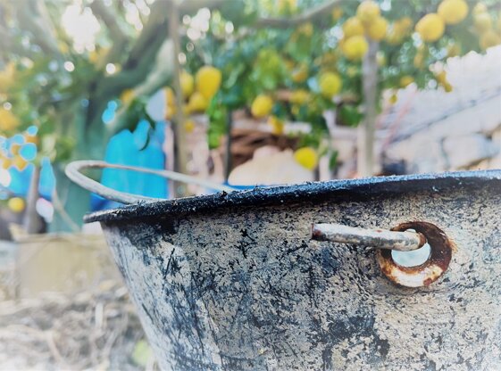 81fa38e4-3a3c-43e4-925f-1069f83d48fc