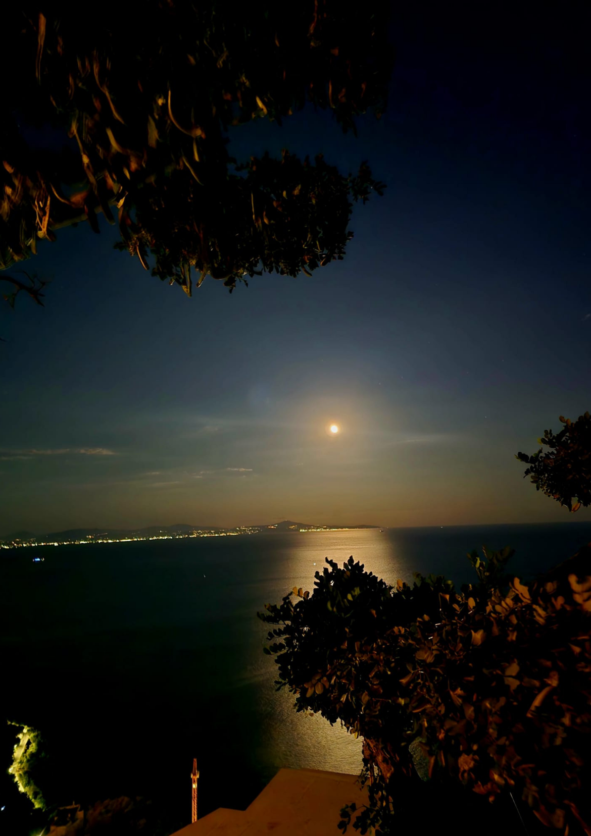 71c698ae-85ad-4a27-97ee-0ab12f44b240