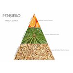 naturalmila-diffusore-ambiente-pensiero