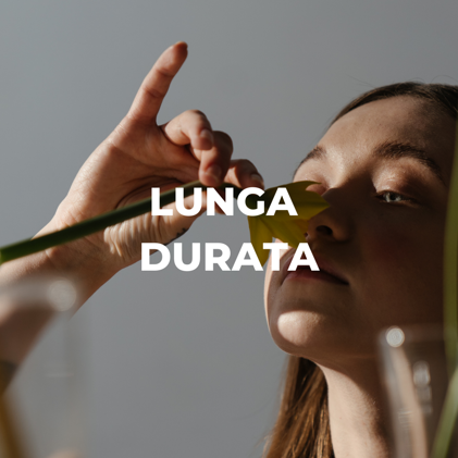 4e19e82e-3210-4f8a-967c-ff6c7b61477f 4e19e82e-3210-4f8a-967c-ff6c7b61477f