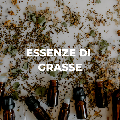 226d49aa-9035-47a2-bc9b-e9798962f45d 226d49aa-9035-47a2-bc9b-e9798962f45d