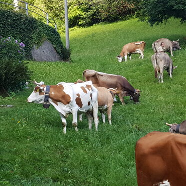 Valtellina Vita rurale Gerola Alta