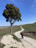 sabato-25-aprile-2026