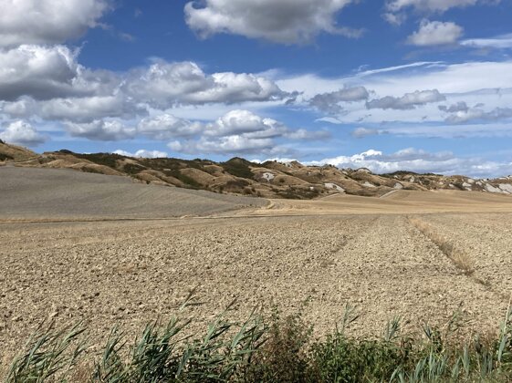 7f59fd2e-60fb-44fc-9388-ede4c68b57f5