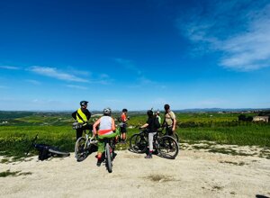 6455c859-2b20-49d7-a7d1-73eba98817a1 6455c859-2b20-49d7-a7d1-73eba98817a1