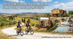 tour-experience-terme