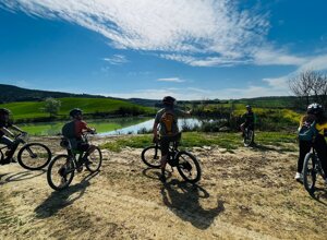 locandina festa del carciofo 2026.jpeg locandina festa del carciofo 2026.jpeg