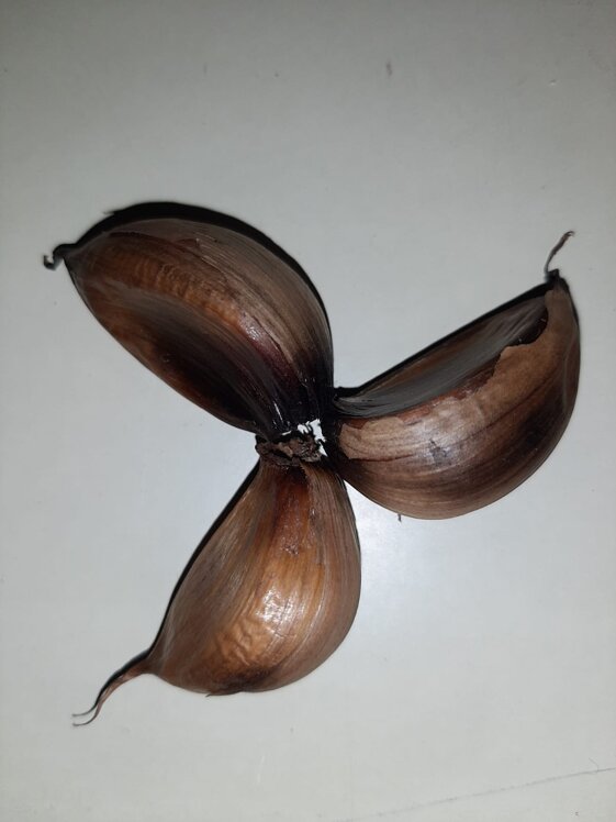 61db2fff-fb6e-45ca-aca7-94608ff21e82 61db2fff-fb6e-45ca-aca7-94608ff21e82