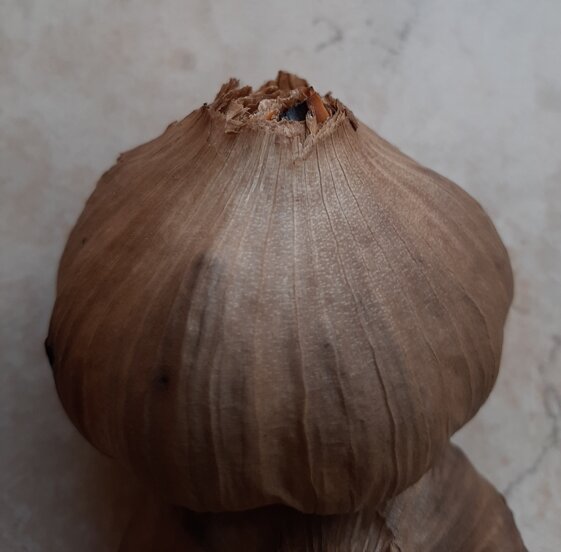 6e1734bf-9b3f-4d1e-8fa1-fd244f8cd706 6e1734bf-9b3f-4d1e-8fa1-fd244f8cd706