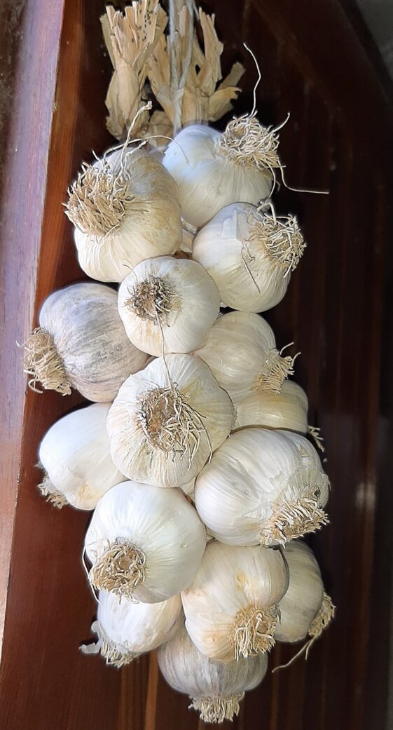 87999eb4-16ec-429f-b27f-04fc51f7b399 87999eb4-16ec-429f-b27f-04fc51f7b399