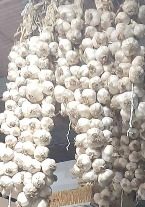 52605065-ad92-4be5-b49f-c60226d0e334 52605065-ad92-4be5-b49f-c60226d0e334