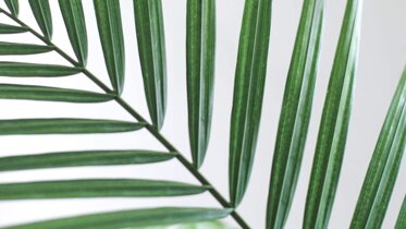 default_image-3 default_image-3