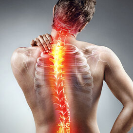 Ortopedico Ortopedico