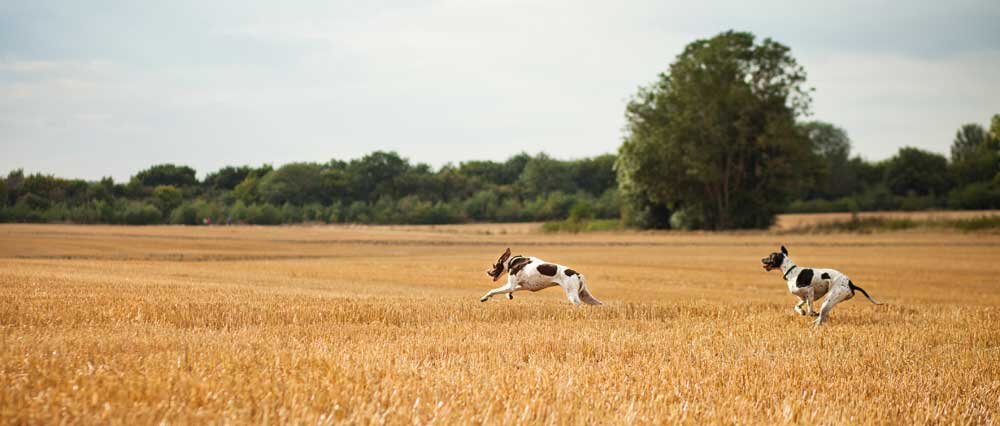 406236a6-5582-4777-b9f6-f1e90f11b143