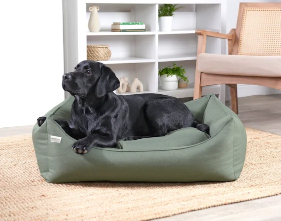 2a5871fd-d520-4d7b-a87f-910cc1229e9f