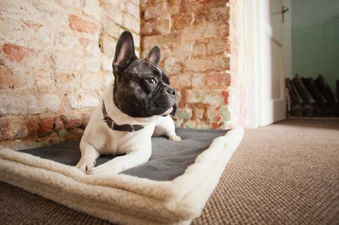 6ecccc26-ea2f-47a6-917a-9d97391f52e4