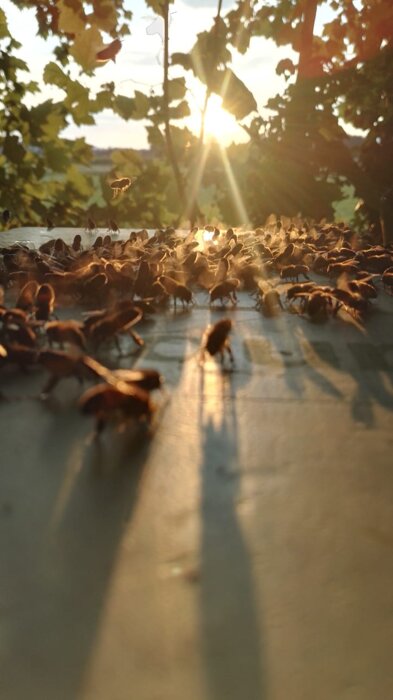 cbf2404b-e3d5-4de8-92c0-7c5f53e2c3e0 cbf2404b-e3d5-4de8-92c0-7c5f53e2c3e0