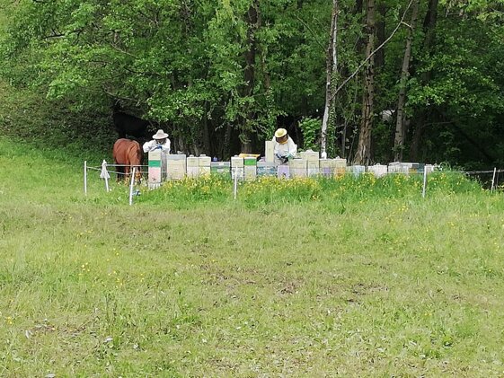 c5362e1b-cb31-4bbf-a04d-e0a571d2a686 c5362e1b-cb31-4bbf-a04d-e0a571d2a686