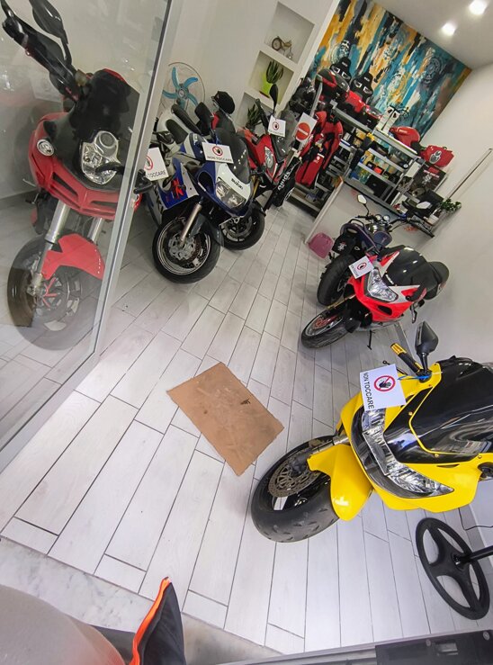 whatsapp image 2026-02-11 at 11.13.28.jpeg