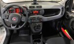 fiat-panda-hybrid