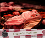 agnello-pugliese
