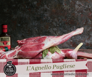 agnello-pugliese