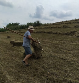 9e124175-6b98-475e-9d72-2ce96bb71ef7