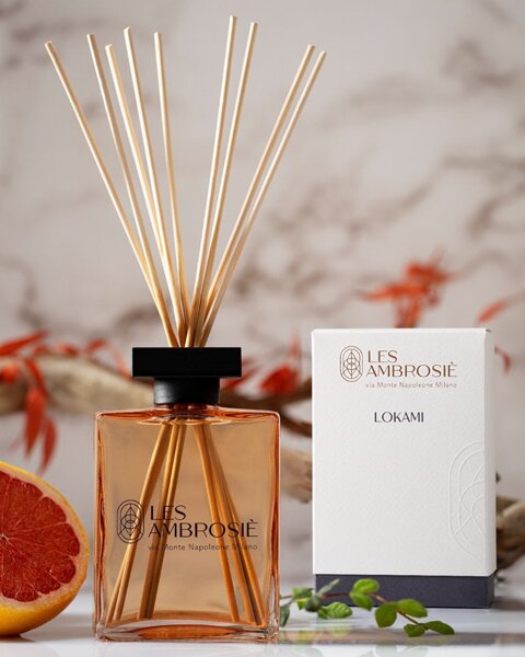 Codice sconto del 60% : Dagal