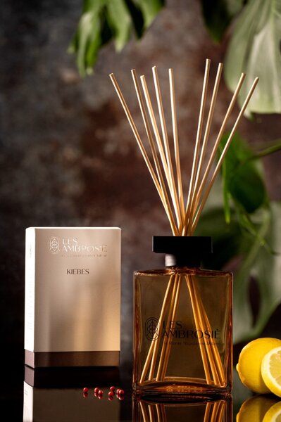 Codice sconto del 60% : Dagal