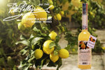 limoncetto
