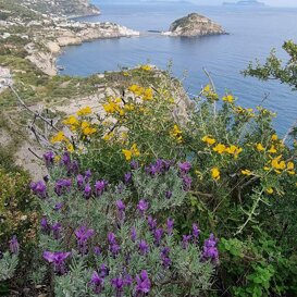 Monte di Panza