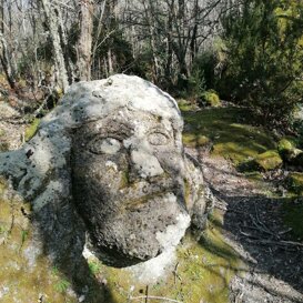 Bosco della Falanga